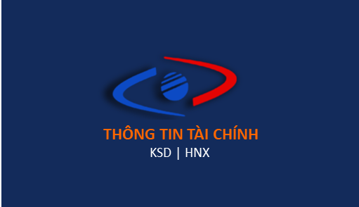 Báo cáo tài chính quý I năm 2025